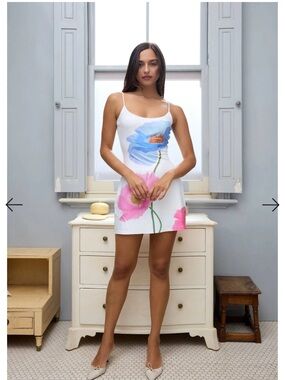 With Harper Lu Mini Dress with Blue & Pink Poppies